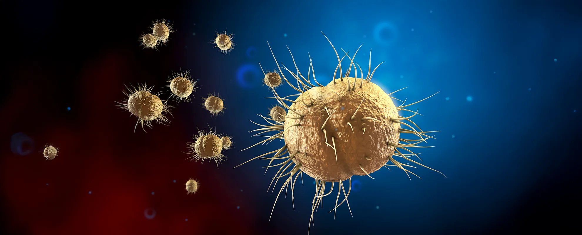 Gonorrhea Symptoms & Testing in KL | STD Clinic Malaysia