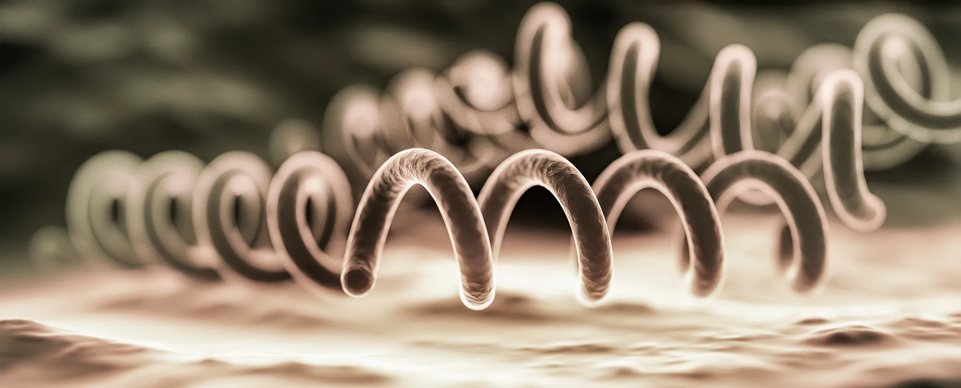 Syphilis Symptoms & Testing in KL | Early Treatment Malaysia